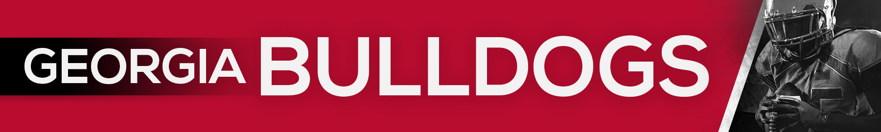 Georgia Bulldogs