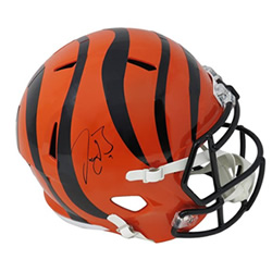 Cincinnati Bengals 