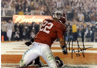 Mark Ingram
